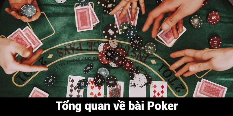 Tổng quan về bài Poker